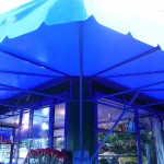 P1010338